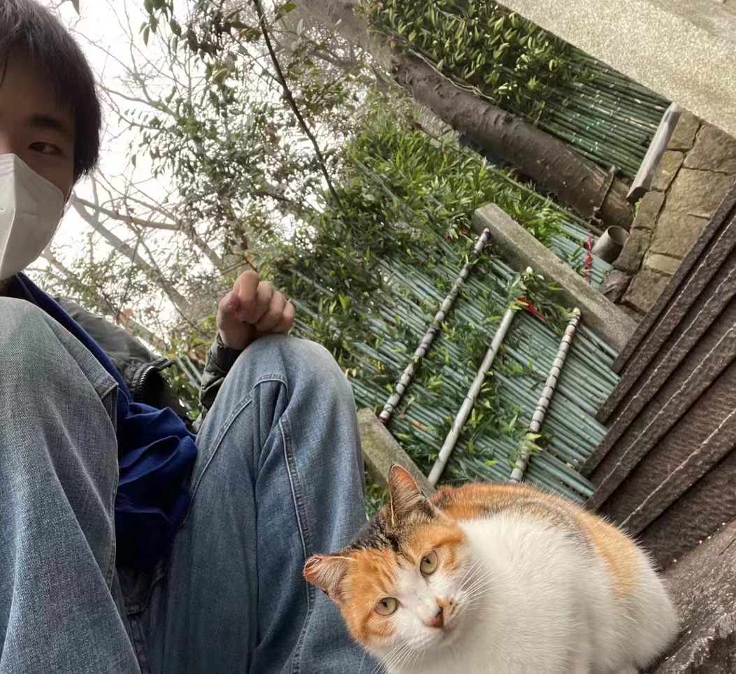 猫