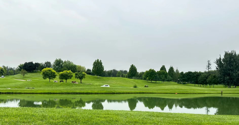 Featured image of post 旅行图册